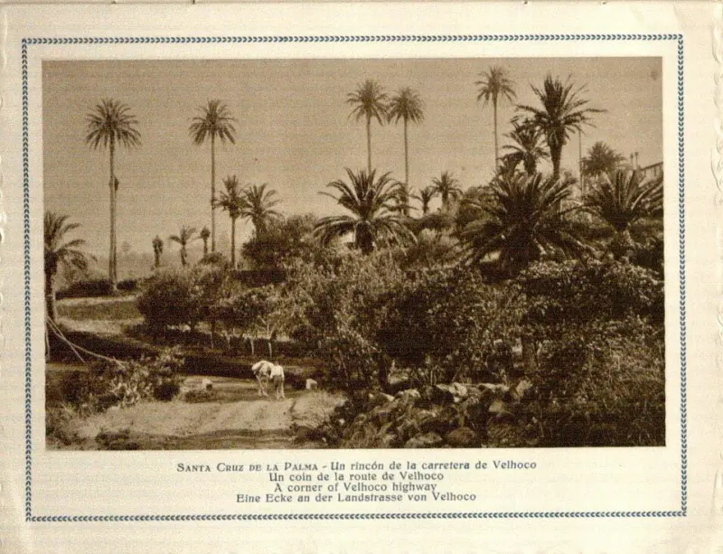 Santa Cruz de La Palma.