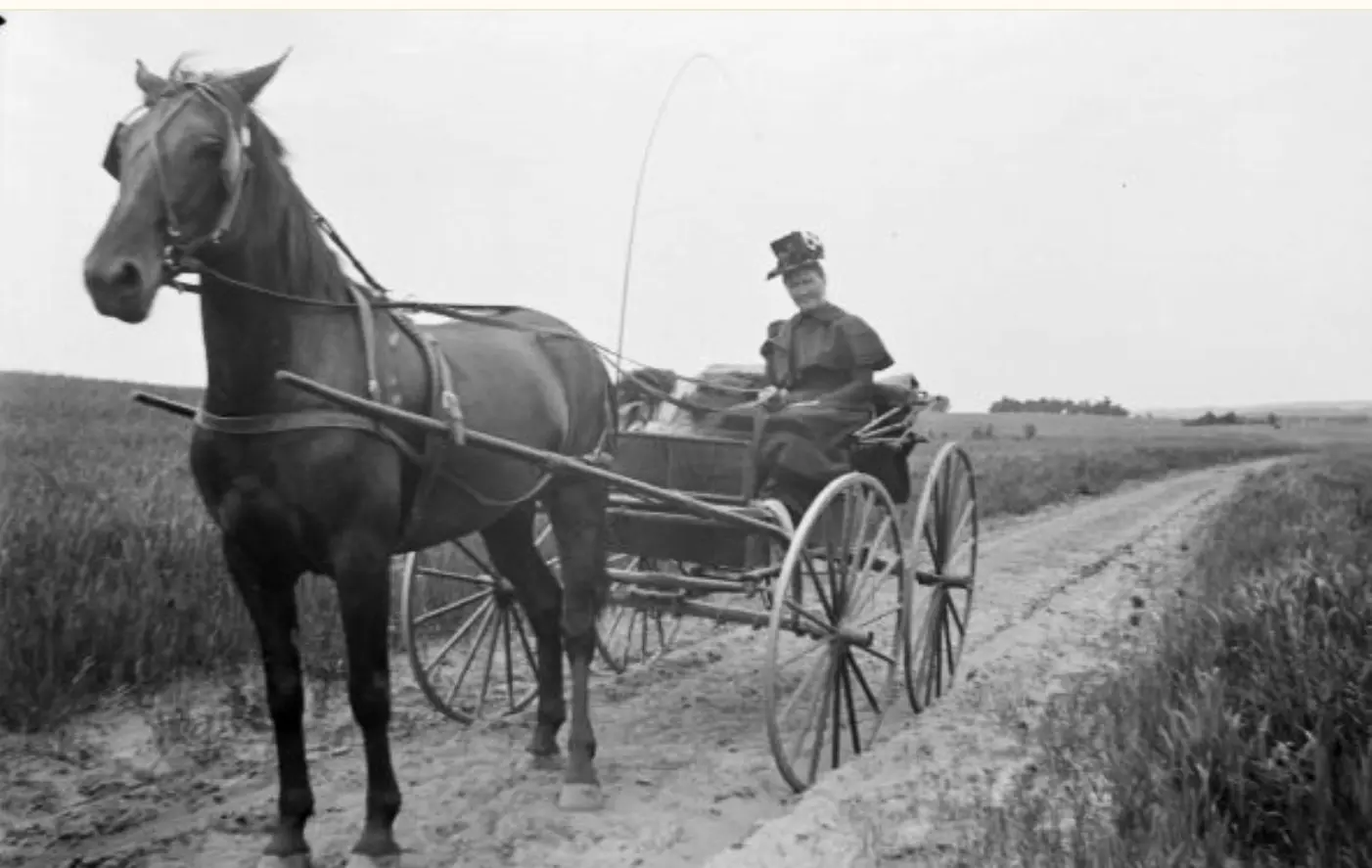 A woman with a horse and wagon