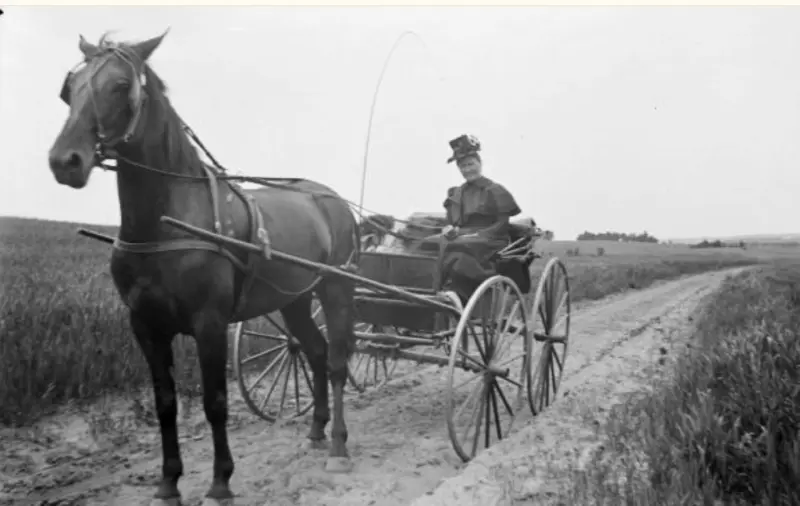 A woman with a horse and wagon