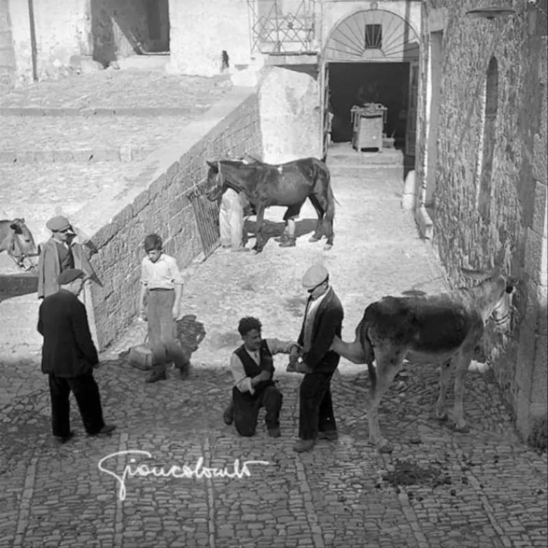 Herrador trabajando.