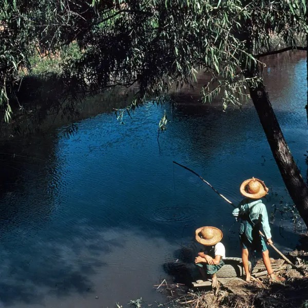 Cajun boys fishing 