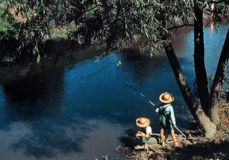 Cajun boys fishing 