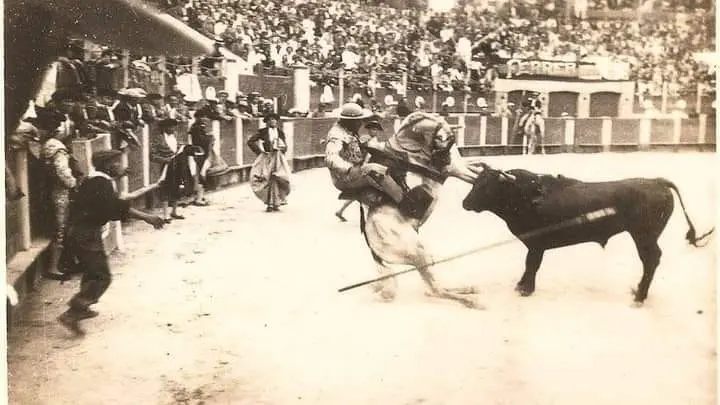 El toro “Corredor” de Alipio Perez-Tabernero