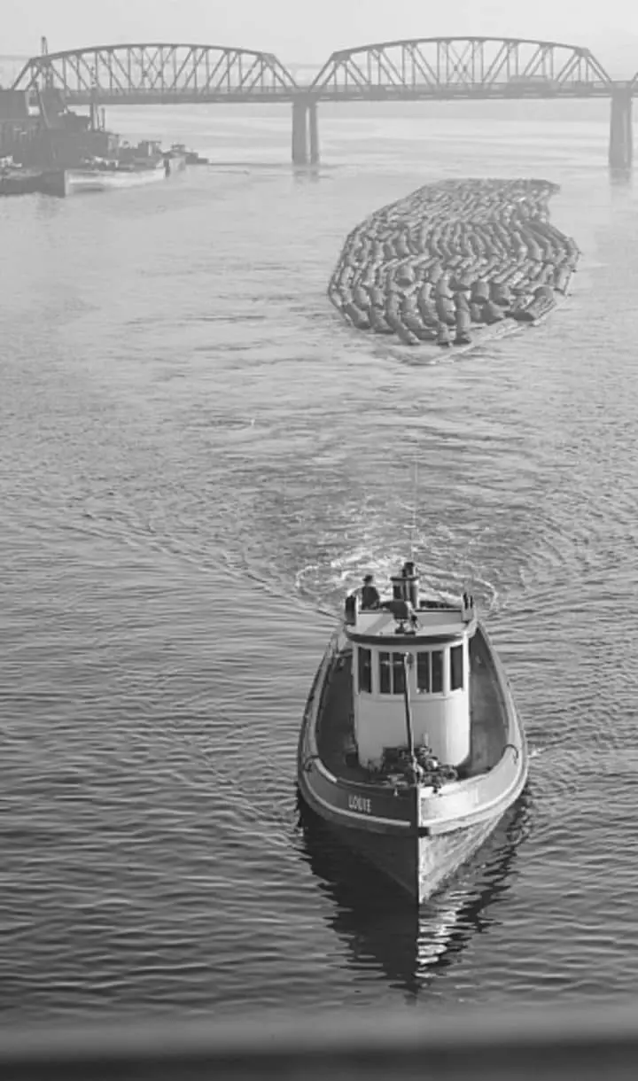 Log rafts are towed by tugs in the Willamette River