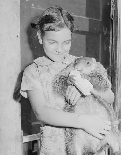 A miner’s daughter with her pet groundhog A miner’s daughter with her pet groundhog