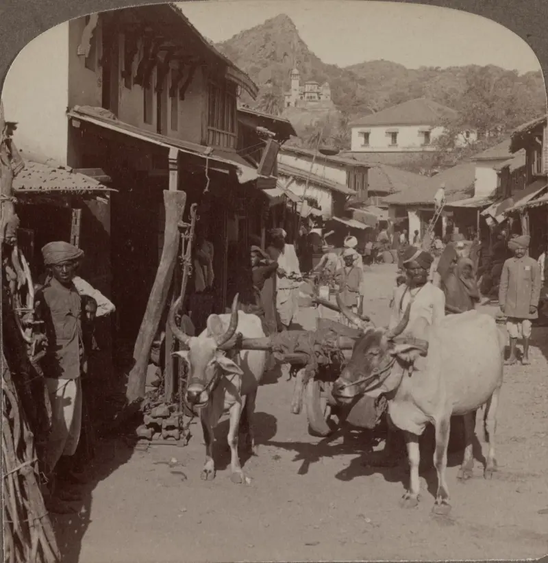 Village on Mount Abu