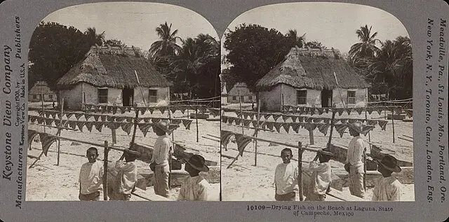 Sol, sal y mar: la vida que se seca al viento en Campeche