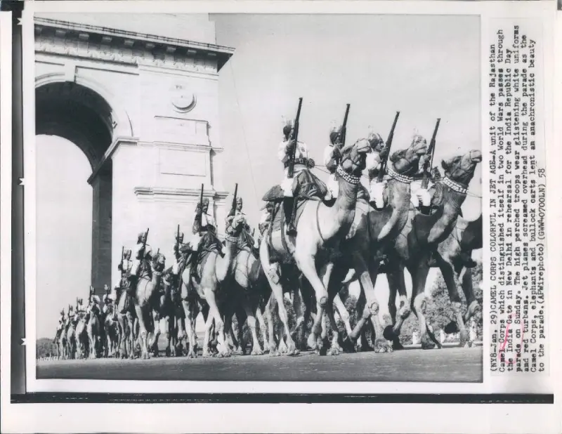 Rajasthan Camel Corps