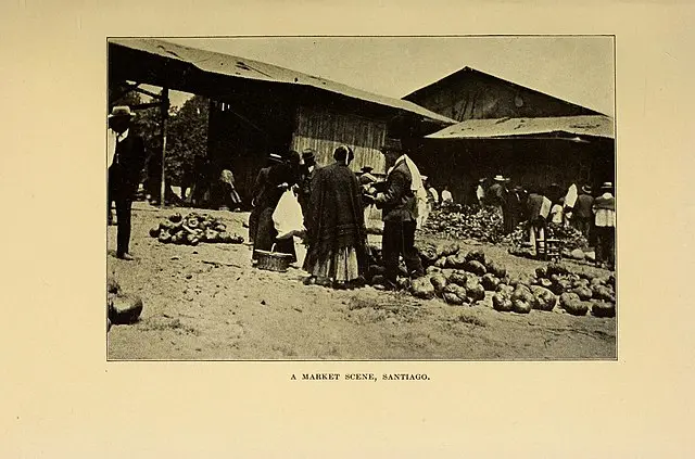 El pulso del mercado