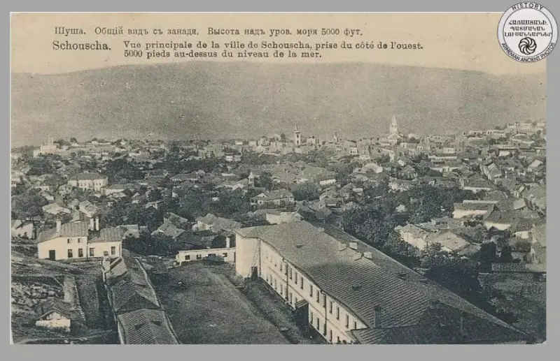 General appearance of the lily