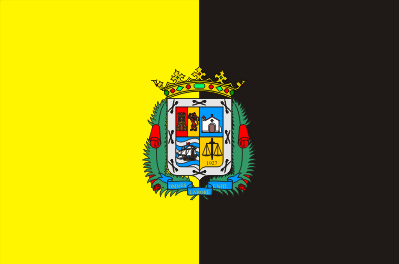 Bandera de Aldea de San Nicolás, La
