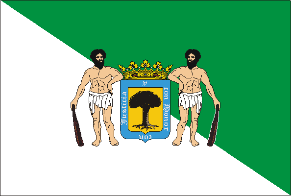 Flag of Valsequillo de Gran Canaria