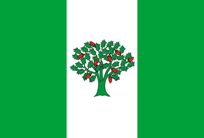 Flag of Cañiza, A