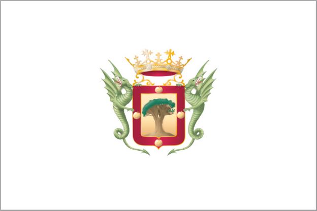 Flag of Orotava, La