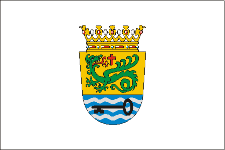 Flag of Puerto de la Cruz
